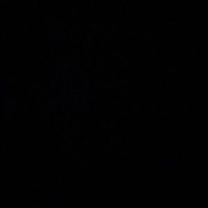 Meet your Posher, Kailyn